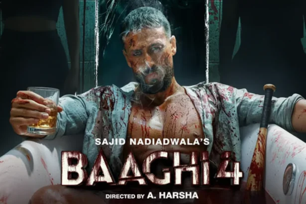 Baaghi 4 Box Office Collection Day 20